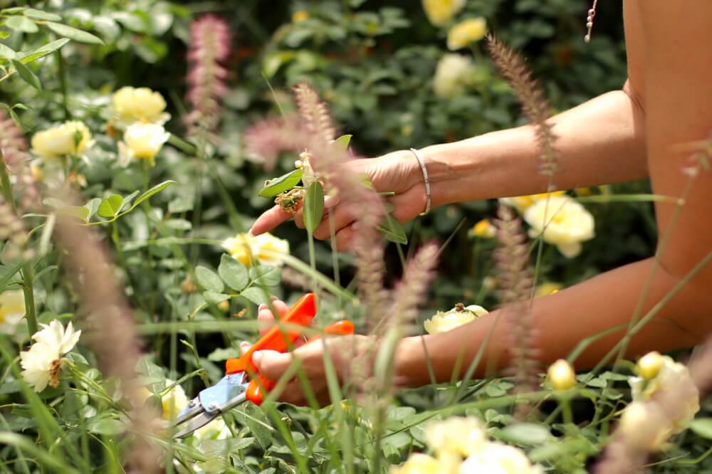 gallery-13